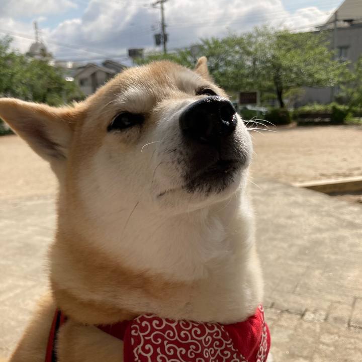 6c33e2e9 730e 4e7d 8a84 4c6f780f5310 1618452061238