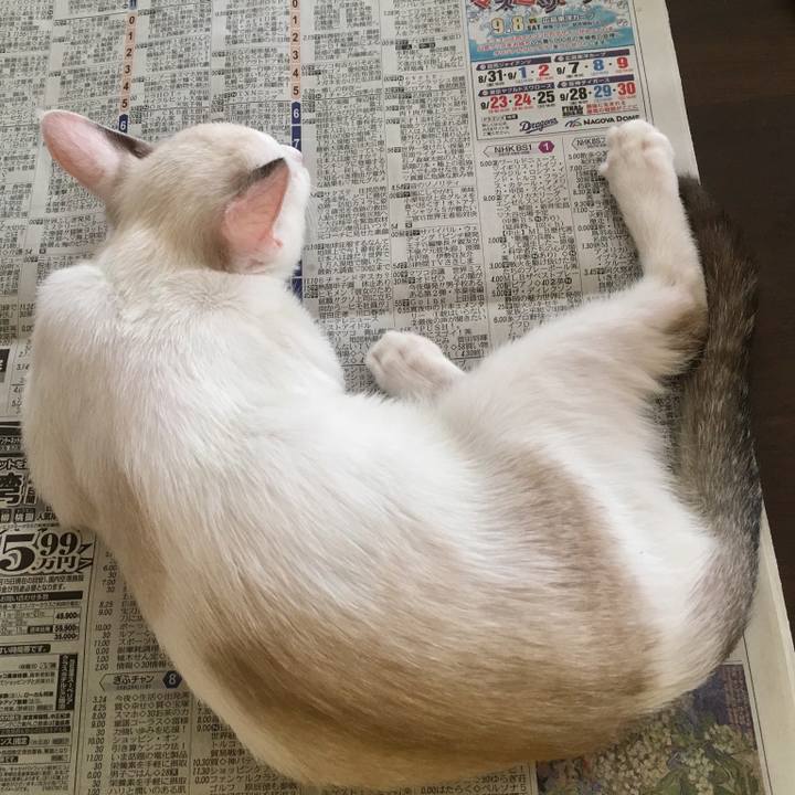 6c341595 aed1 41b6 bda5 86c243c0fd94 1534556464013