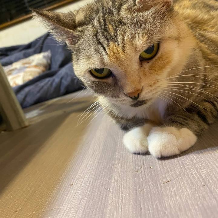 6c34374c 3aec 494e b9b0 6be6791f5bd3 1631190545987