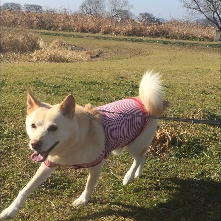 6c345549 99cf 4bf4 a27d 826dbf404755 1514873676738