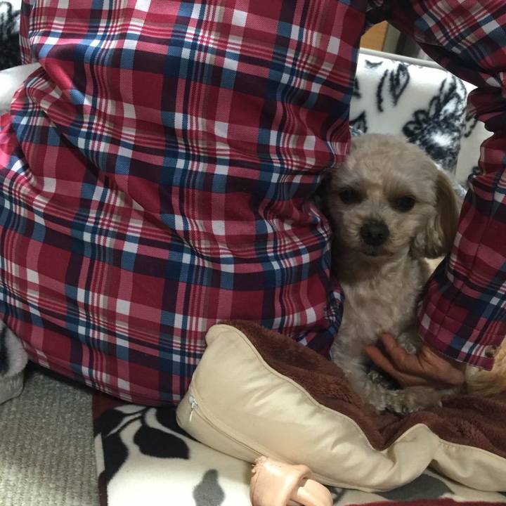 6c34801b 6178 4ac4 b26b d249728854ae 1547734522285