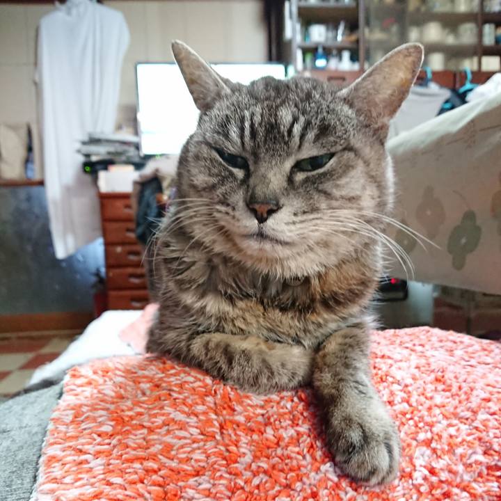 6c3481d0 dc47 42f2 80e9 046d5671ed91 1581976023493