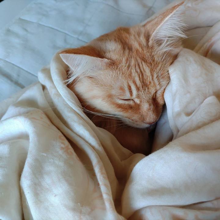 6c3492b8 0685 408f 9297 d7918d5f57bd 1666313546180