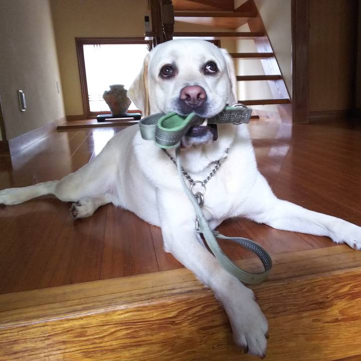 6c3504af 9b0f 45da 8258 b79853857af3 1561195389959