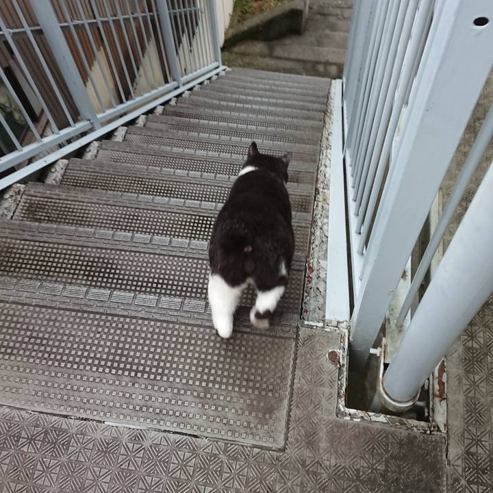 6c351cbb 3db0 45f2 bdbe 90d6322d146f 1595980466499