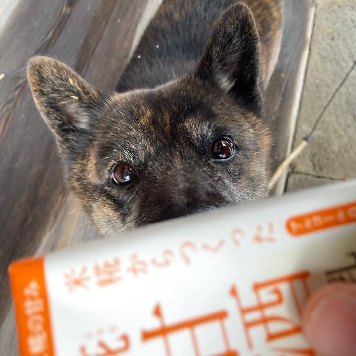 6c3592b2 73d9 48c0 a53a 308c0697dcb3 1609474717712