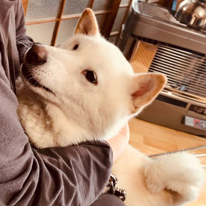 6c35c40b f2de 4632 a4c4 ca4cdcf576e2 1638062125796