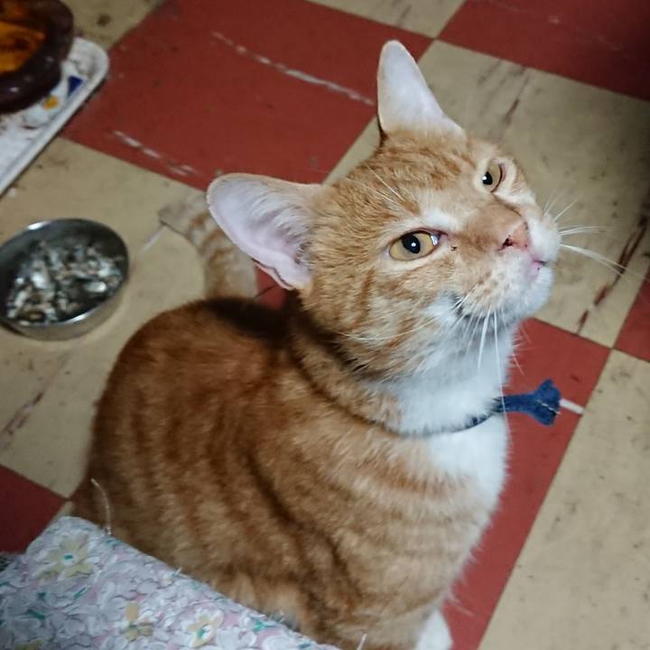 6c35f297 585b 46e8 ab0d 8b192ac9073e 1568231470137