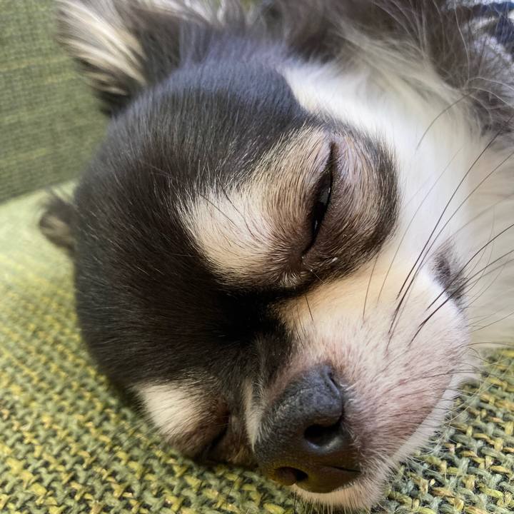 6c35f5e8 bd91 41b8 a886 a5ad6f6b066a 1666532095330