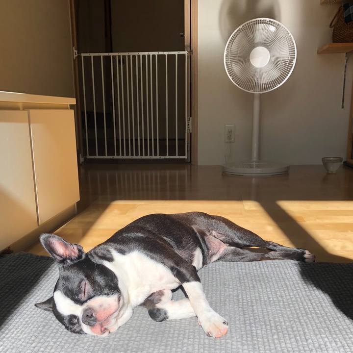 6c36139d a876 41ff 9464 061b9ac62f80 1564958700224