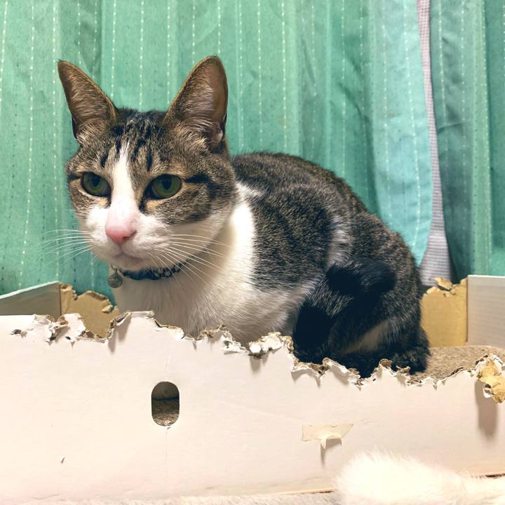 6c362e96 b90e 4c99 bd22 c1a33527d88f 1551924293033