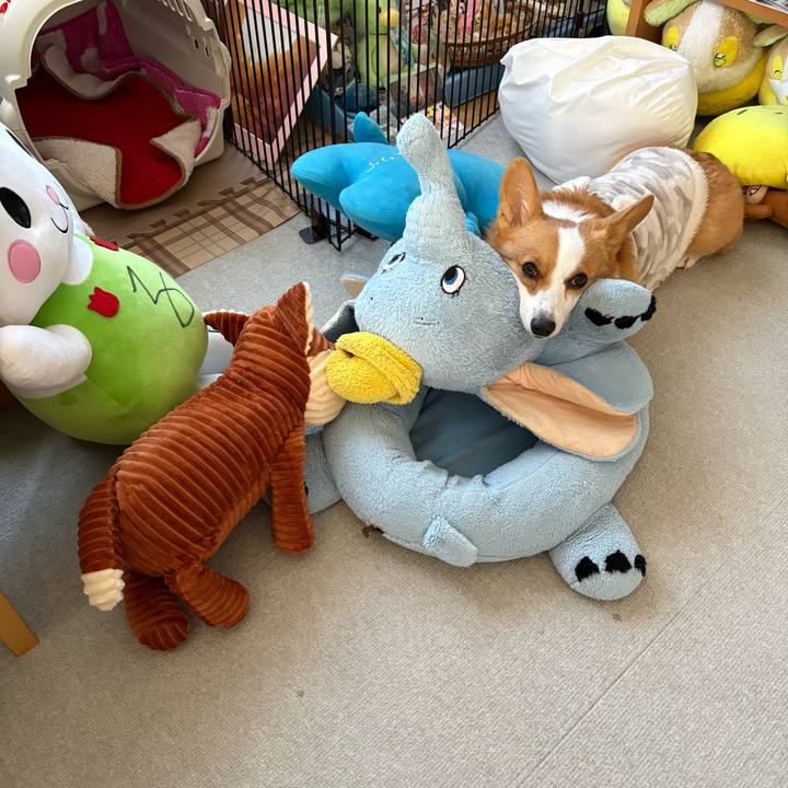 6c368795 fb1c 4307 b5c2 9aa1a78a11dc 1768697646748