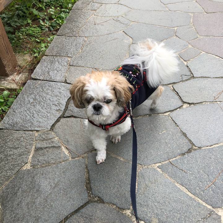 6c368843 b163 4073 a5b8 6bf797da9014 1604008313824