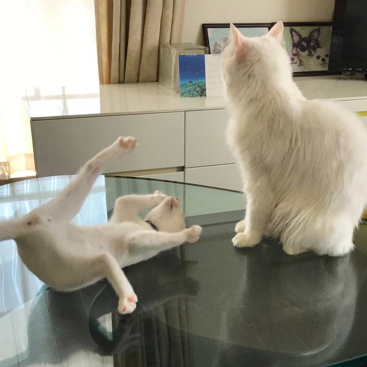 6c36da91 fc00 4519 b7d9 bae9462f7fac 1568848037780