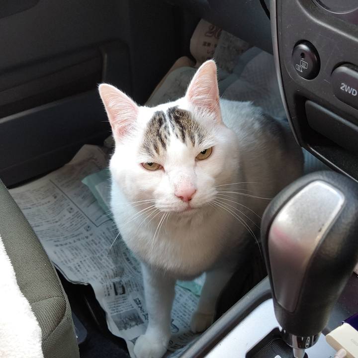 6c36e195 9c5e 4a10 9a02 53aa00c8618e 1577522358139