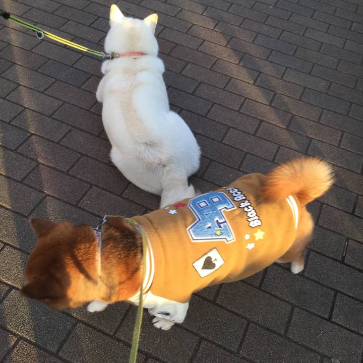 6c36ea95 5c10 4185 b920 9a95f339a981 1579167500957