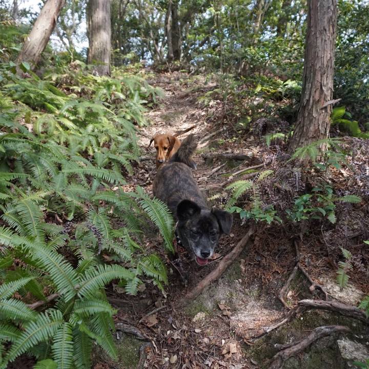 6c3704b9 0cca 4c01 8c05 48aa4eb3129b 1555852515275