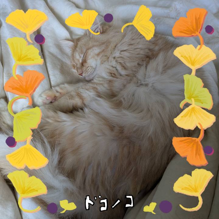 6c371a3a 2ab7 407e b51f f241aa9c5d36 1729061499509