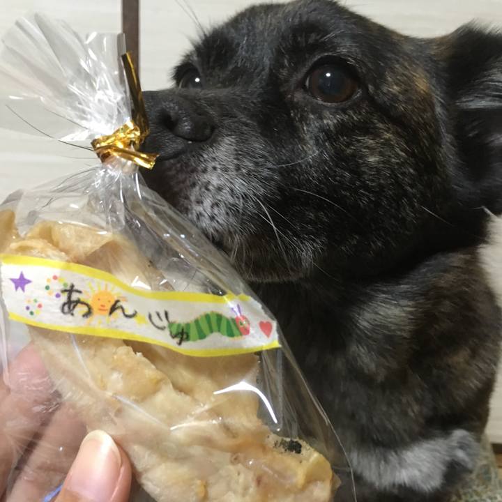 6c3744ca cd09 4aa5 8b6a d05500517249 1526568555972