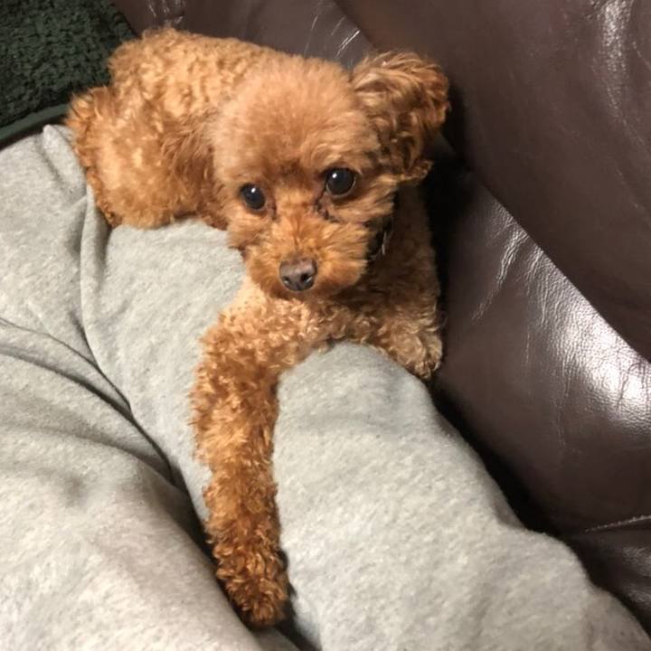 6c378fb5 c54e 44dc 824f 8f08e3dae82b 1547560583649