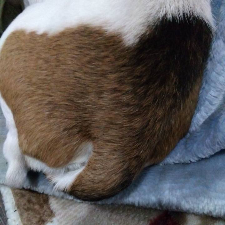 6c37916a 0e3f 475c aa2d 8d88e9747e42 1678363067587