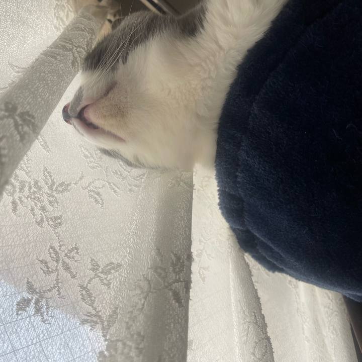 6c37ad4d fe21 41af 9191 7915710d5538 1747263630671