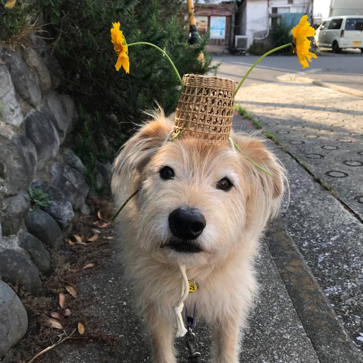 6c37b950 0f56 4f7e 9692 aeeffb9bfbc6 1590569567886