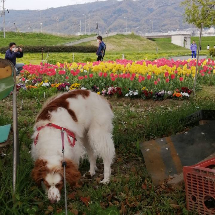 6c37c975 349c 4493 b0d8 a93a1778451a 1586605506397