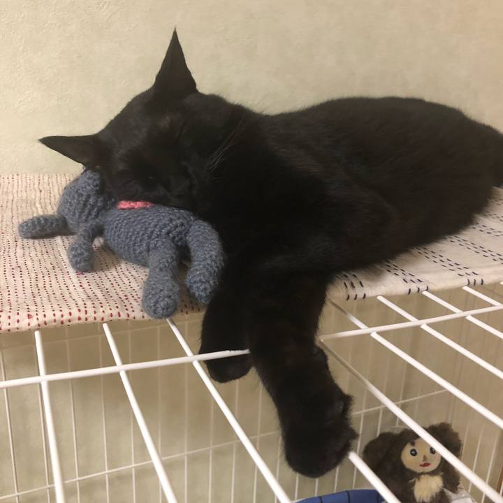 6c37d84a abf0 4593 a607 493c7896b9c9 1531663200701