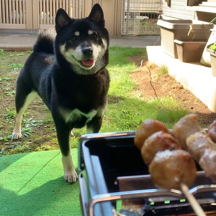 6c381920 4120 4eb1 b5f1 8448ad01e75e 1666586694664