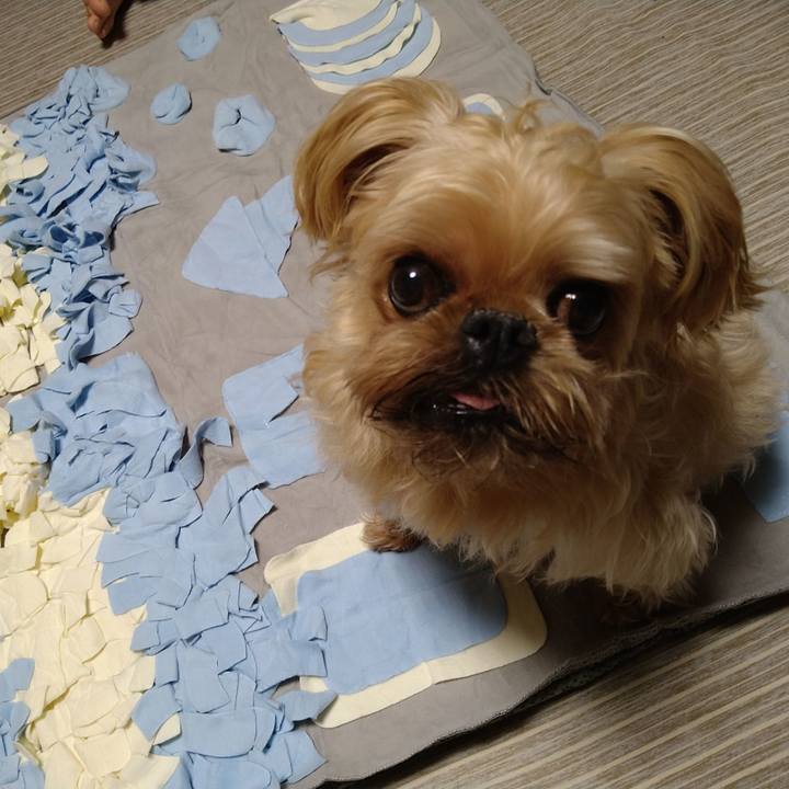 6c385433 5848 44b7 958b 6f8d6eb2d4ce 1617686039201