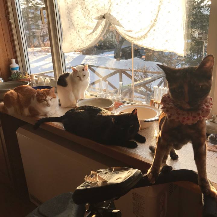 6c387c83 9d58 488f bab3 766905b93d0d 1615240342179