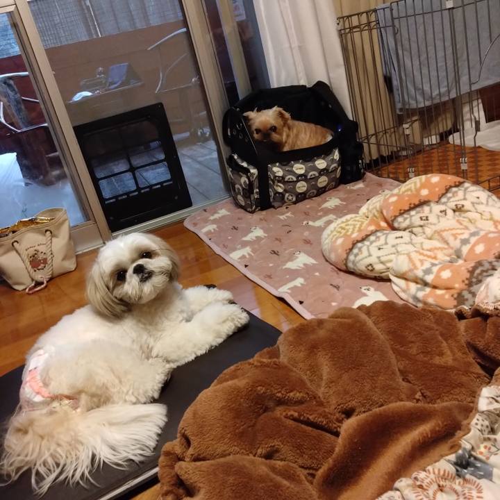 6c388ef4 d491 4a39 841b e873c845010a 1676780918071