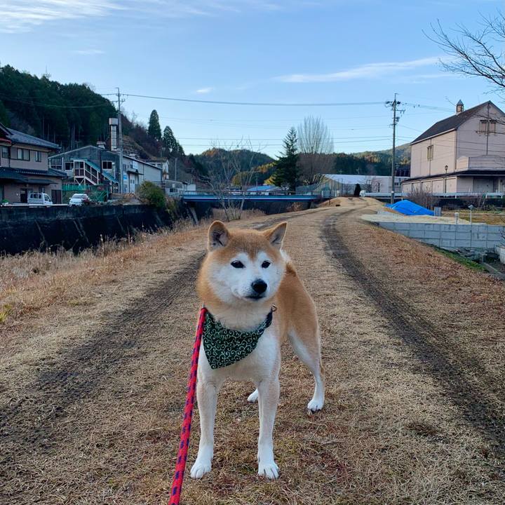 6c38947d 1ed3 4ada b5d0 b5c2b19993c2 1674040194937