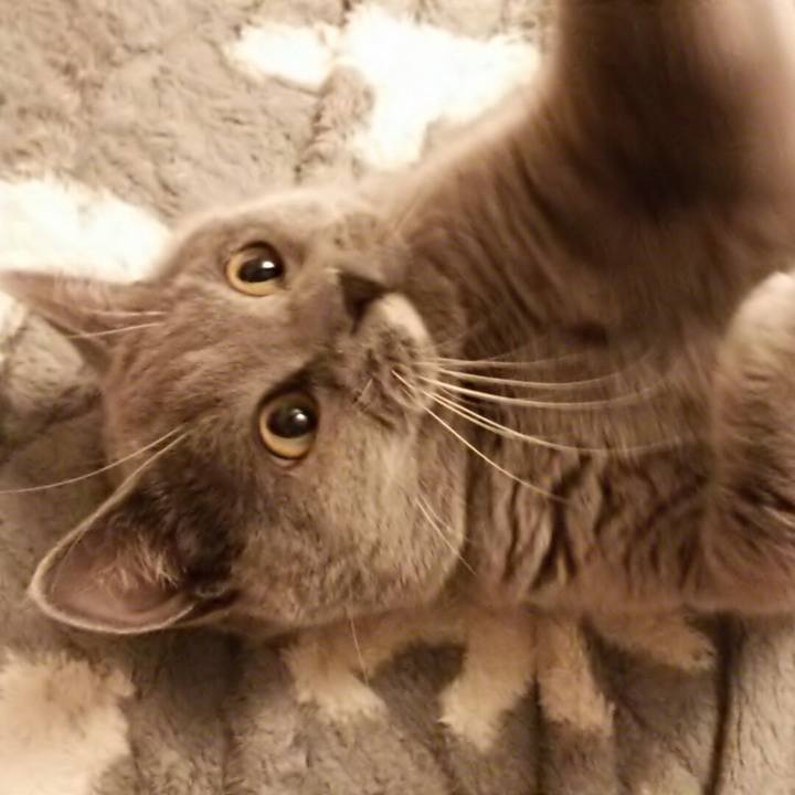 6c3894b0 e120 4087 930a 79bacf598df1 1546160529557