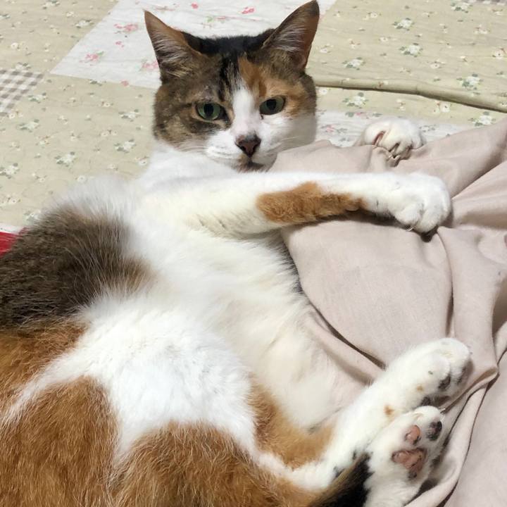 6c38b5dd 8fe8 4076 a22d cdbe99522093 1587827281717