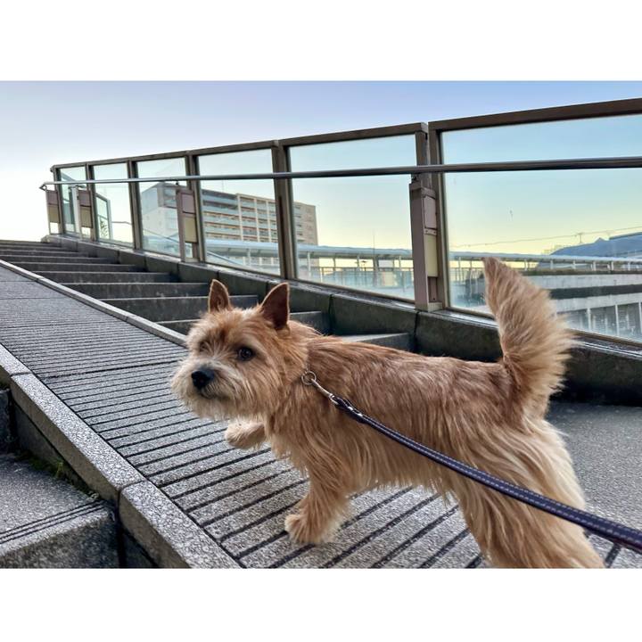 6c38bc5a 83f9 428b 94e7 b8bb7a4a571d 1737887334458