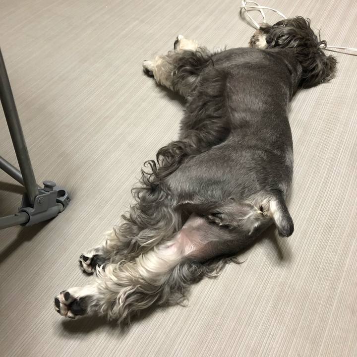 6c391921 72b9 4813 8087 aca8eda054aa 1567597522534