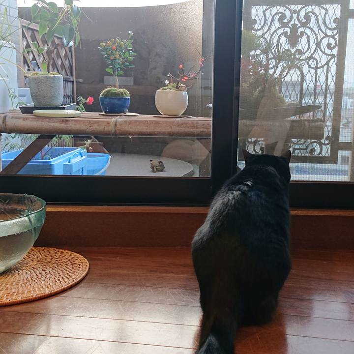 6c391e59 b7bf 456e b767 11c017fe526f 1545863025799