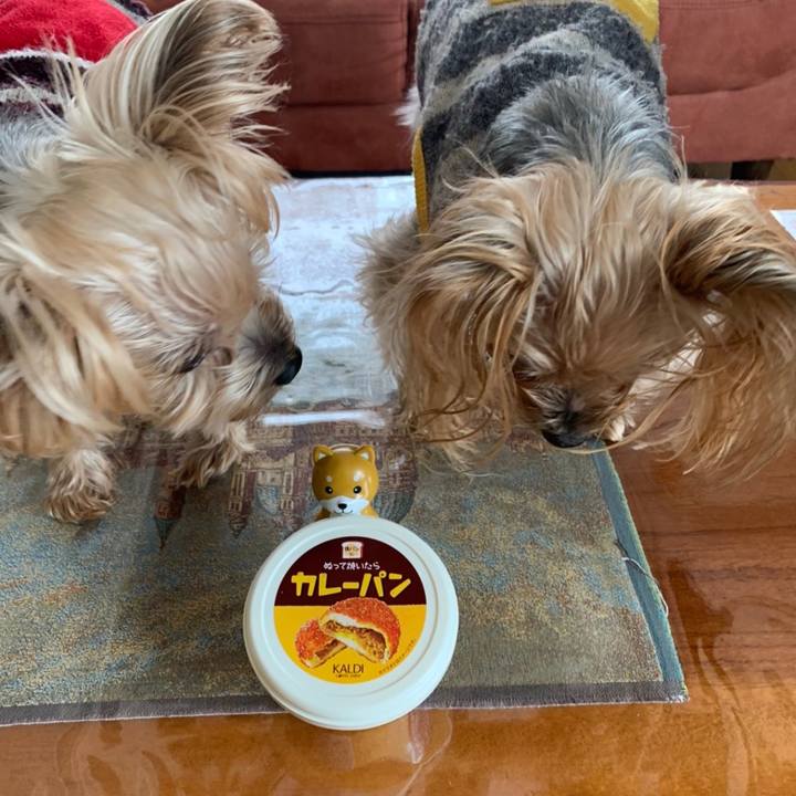 6c3975e9 08b1 4b8a b3f8 087f5387b031 1611913917400