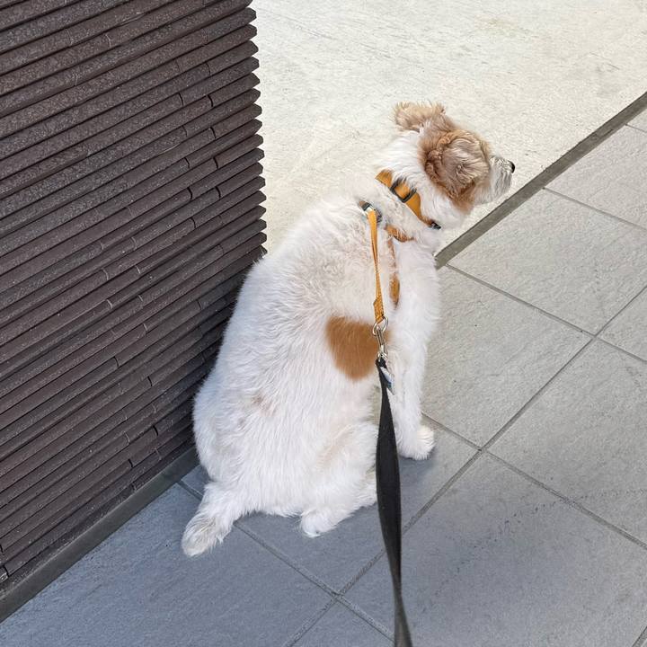 6c3a1a19 390e 40bc 823c afa3b55e3eed 1766387782164