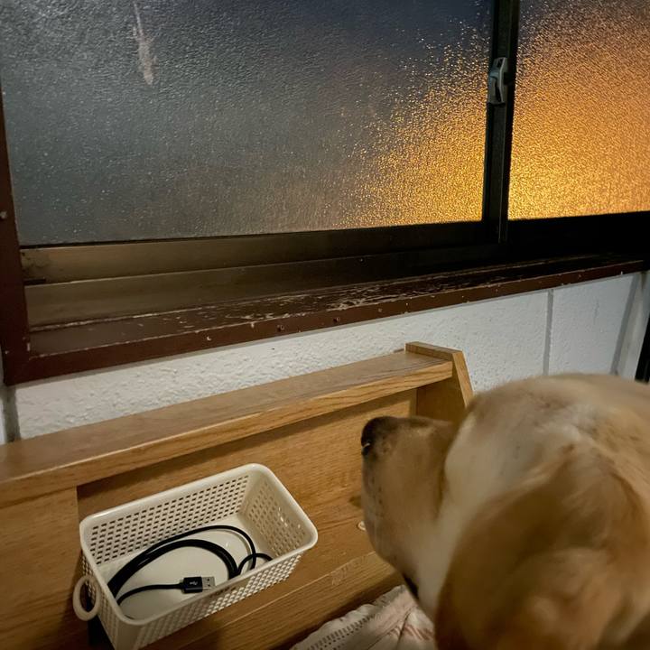 6c3a37b9 d9c4 4a30 854d 8bc87a7c493c 1691117089558