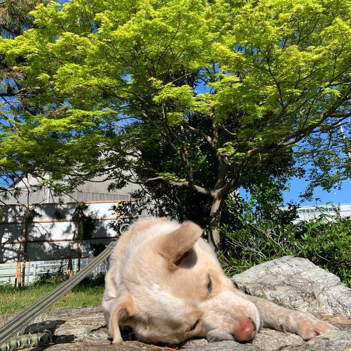 6c3a4034 3d4b 47b5 8654 c1885987cb1a 1554936863471