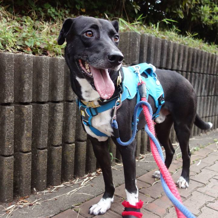 6c3a69d0 4f13 4f47 8c88 1093d0bab10a 1624184589679