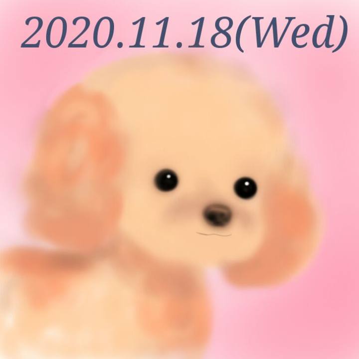 6c3a78ef aa67 4b81 91b6 31f11235a967 1605696514243