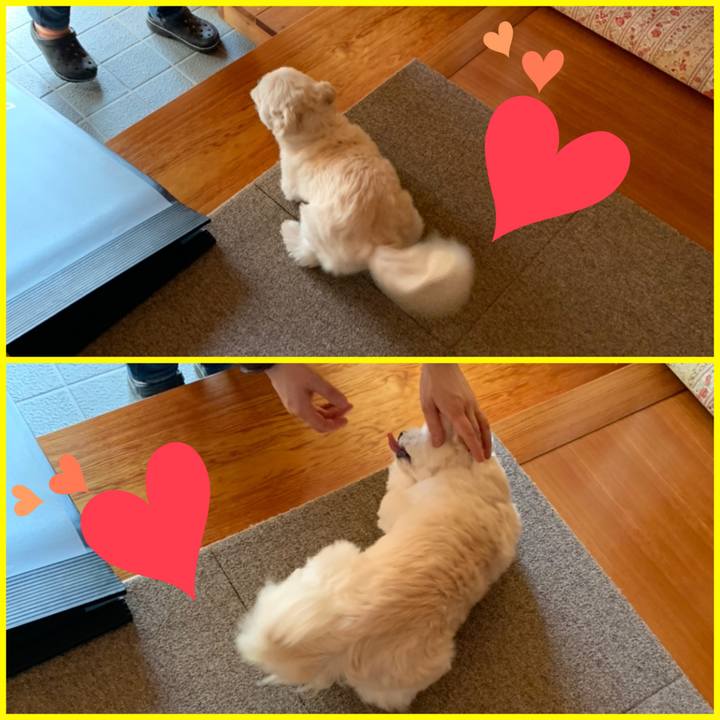 6c3ae2f3 ed3a 424e 9dfd 1ad7c19ebe5e 1612263784834