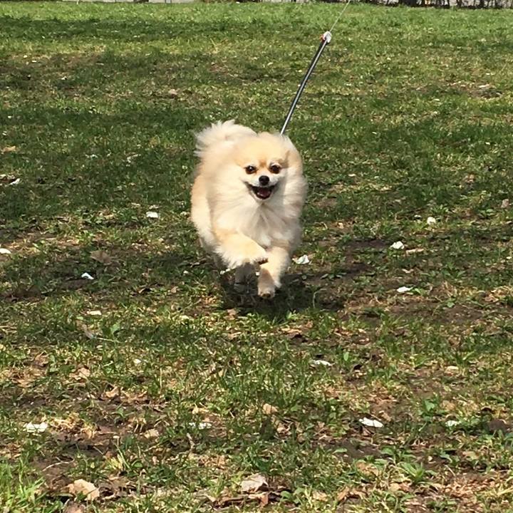 6c3b2c7a c80e 4168 85be bb76fa870efe 1524976408460