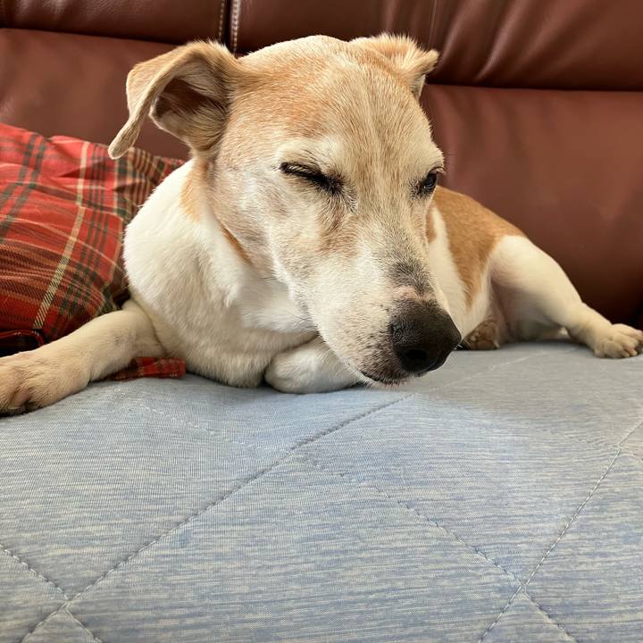 6c3b49f5 c61e 49c6 8f40 664d82f1b3c8 1712993529998