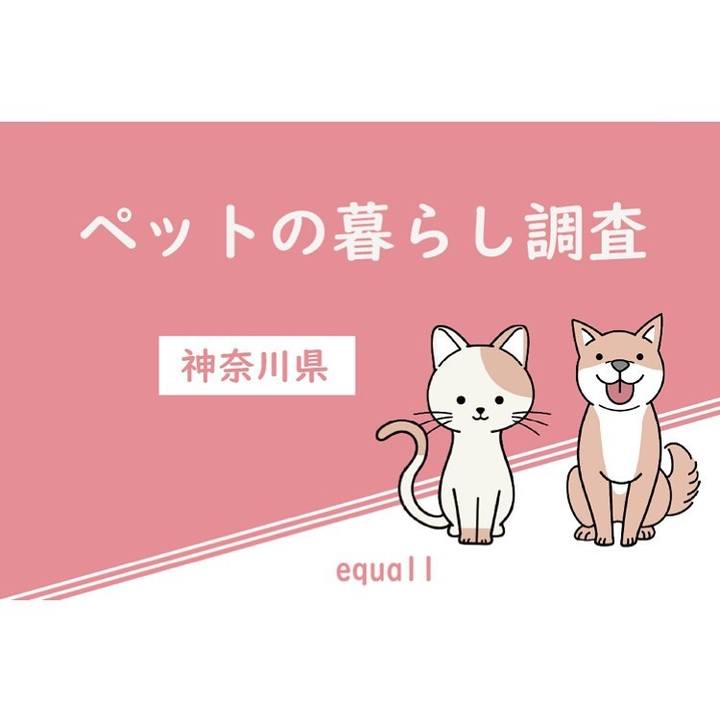 6c3b6e76 214a 4783 a487 1b4183a72bae 1612819437612