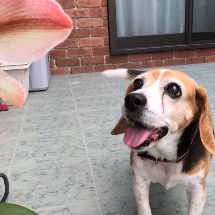 6c3b7b2d 81f3 4b7f 950b 045793eb730d 1558011277018